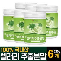 셀러리 샐러리 분말 가루 파우더 100% 국내산 Celery 즙 주스 쥬스 착즙 추출물 천연 식이섬유 먹는법 서양미나리 플라보노이드 아피제닌 루테올린 다이어트 비타민K 영양제 추천, 230g 6개