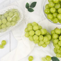 가족 상주 샤인머스캣 500g(팩)/1송이