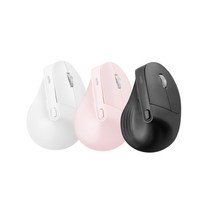 손목보호 인체공학 블루투스 무선 LED 저소음 버티컬 마우스 BTM-12, 화이트
