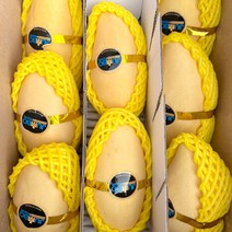 태국망고 6과 9과 5kg 선물세트, 1박스, 태국망고 실속 2.2.kg