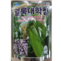 얼룩대학찰 2000립 대포장 자색낱알이 얼룩달록 찰기 우수한 옥수수