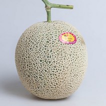 머스크 세지 파파야 칸탈로프 메론 3kg 6kg, 31_머스크 메론 중소과 6kg 4-6과