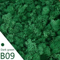 인조잔디 시공 테라스인조잔디 인조잔디매트20g 40g 품질 인공 이끼 불멸의 시뮬레이션 녹색 식물 잔디 홈, 09 B09_01 20g