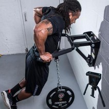 LT STRENGTH 가정용 벽 부착 평행봉 실내 딥스 기구, One Color