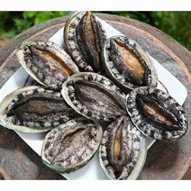 (설선물 친환경포장)명품4호 대전복 선물세트 1.5kg(1kg 12미~13미)+고급선물가방, 명품14호 1.3kg(특대전복12마리)+선물포장, 1.3kg