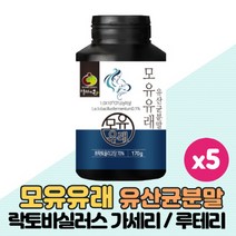 모유유래 유산균 분말 가루 모유유산균 락토바실러스 가세리 루테리 퍼멘텀 스페인특허 1000억 유산균 원료사용 프리미엄 생유산균 함유, 170g x 5통
