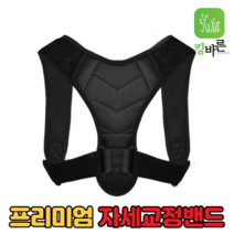 킹바른 자세교정밴드 남녀공용 프리사이즈 등자세 허리자세 여성 남성 남자 여자 목 어깨 자세교정기구 새가슴 굽은어깨 목어깨 말린어깨 굽은등펴기 라운드숄더 거북목 일자목 교정기, 킹바른라이트핏밴드 4개