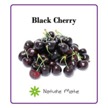 네이처메이트 프래그런스 오일 100mL 디퓨저 캔들 향수 석고 방향제 만들기 DIY 재료, BLACK SWEET CHERRY  블랙체리