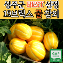[19브릭스 고당도] 성주군 선정 성주꿀참외 3kg 5kg 10kg 최상급 가정용 산지직송, 3) 성주참외 로얄과 10kg