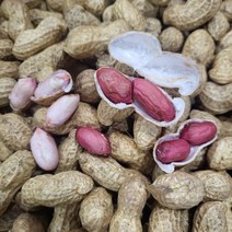 국내산 햇 땅콩 피땅콩 익혀 먹는 생땅콩, 땅콩 3kg