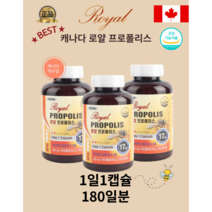 [정품]캐나다직수입완제품 로얄 프로폴리스 대용량 (500mg x 180캡슐) 면역 항산화 고함량 플라보노이드, 500mg x 180캡슐(6개월분)
