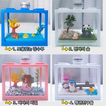 마리모 키우기 어항세트 DIY 판다의 숲, 1세트