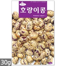 3종 모듬 당근 씨앗 1g - 씨 당근씨앗 당근씨 노랑당근 자색당근 빨간당근 자색당근 주말농장 텃밭, 21_호랑이콩(30g)