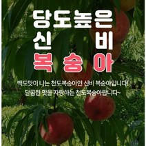 귀한 신비복숭아 1k, 3kg, 1개