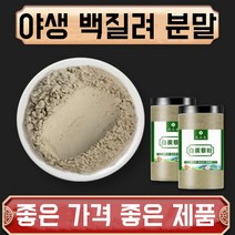 야생 백질려 분말 가루 자연산 특급 한방재료 건강분말, 2봉, 500g