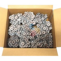 이츠웰 자연담은 무농약 느타리버섯 (상품 친환경 2kg) 국내산 냉장포장발송