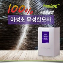 힐링 100% 어성초분말 50스틱x2박스 가루 풍성한모발 하수오 자소엽 비타민나무열매 페퍼민트 녹차 어성초샴푸 면역력 두피마사지, 100스틱, 0.4g