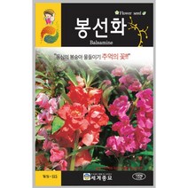 봉선화 100립 / 씨앗 종자 꽃씨 꽃밭만들기 화단만들기