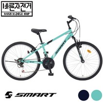 2023 삼천리 스마트 리얼텍 24 SF 24인치 스틸 기본형 자전거, 95%셋팅및조립배송, 민트