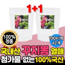 꾸지뽕 추출물 차 국내산 100% 첨가물없는 100 티백 열매 구지뽕 나무 카페인없는 차 국산 꾸지뽕 차 물대신 먹을 수 있는 마실 수 있는 구찌뽕 2개 약 200개 대용량 사무실