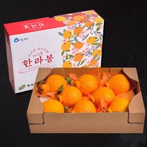 [푸르젠] 명절특가 당도좋은 제주 한라봉 선물세트, 1개, 3kg(10~11과)