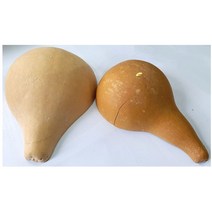 IQPLUS 박바가지, 1개, 금이 간 박바가지 중