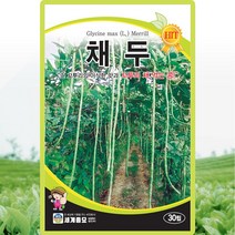 채두 씨앗 콩 씨 종자 30립 Chae Doo mung bean seeds, 1개