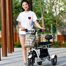 3륜전기자전거 삼륜 세발 성인 어른 여성용 전기자전거, 48V, 36V단일드라이브리튬배터리10A하나의키시작