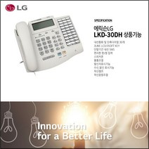 엘지 키폰(LKD-30DH)