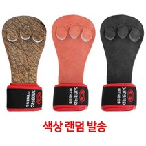 [썬버드] 3구 헬스역도 장갑(#850) 밴드부착형_색상랜덤발송, 상세 설명 참조