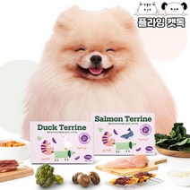 강아지 애견 화식 웰썸 동애등에 테린 120g 자연식, 연어맛