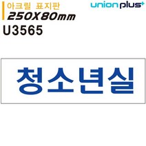 표지판 (아크릴) (250x80mm) (U3565) 유니온 청소년실, 상품선택, 상세페이지 참조