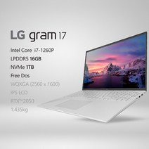 LG전자 2022 그램17(12세대) 17ZD90Q-EX76K [프리미엄 패키지] + 사은품 증정, Free Dos, 16GB, 1TB