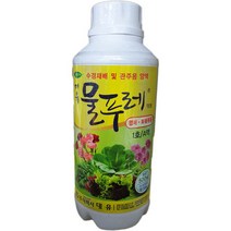 [좋은농자재] 대유 물푸레(500ml) 1호 A액 엽채 화훼류용