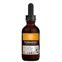 글로벌힐링 울금강황 투메릭 오일 59.2ml, 1개, 기본