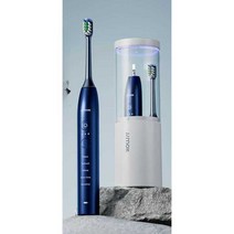 전동 칫솔 추천 치석 음파 자동 제거기 치솔 가성비, (표준 세트) 문라이트 화이트