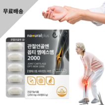 내츄럴 플러스 관절 연골 엔 옵티 엠에스엠 MSM 2000 1050mg 비타민 D 아연 뼈 건강 무릎 손 발목 통증 개선 면역 증진 도움 영양제, 6박스 (360정) - 6개월분
