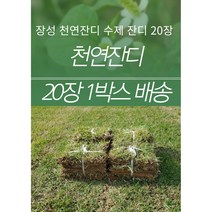 금산묘목나라 잔디 18cm x 20장 묶음 천연 한국잔디 중지