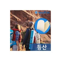 이지미톡 패밀리 아이스 패치 2매입 등산 운동 냉팩, 이지미톡 패밀리 아이스 패치 2