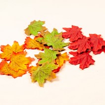 쥬크박스 단풍잎 50장, 본 상품 선택하기