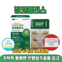 징코 플러스 포 메모리 진코 찐코 빌로바 라이드 은행잎추출물 150mg 플라보놀배당체 36mg 갱년기 50대 60대 70대 식약처인증 건강기능식품 알약케이스증정, 30정 6박스 6개월분