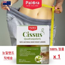 파이오라 시서스 1000mg 90정 인도산 시서스추천 시서스직구 시서스파우더, 1000mg 90정 x 1박스 (3개월분)