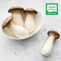 삼시세끼연구소 친환경 무농약 새송이 버섯 미니새송이버섯 콩알새송이버섯 구이용 300g 400g, 친환경 콩알새송이버섯 300g, 1개