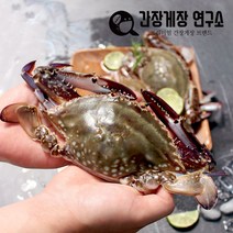 국내산 싱싱한 급랭 제철 가을 숫꽃게 알배기 암꽃게 전문, 국내산 수게 3kg