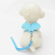 천사 날개 하네스 가진 애완 동물 마구 작은 애완견 개 토끼 고양이 가슴 세트 귀여운 고리 안전 벨트 조정 가능한 옥외 걷는 밧줄 밧줄, L, 파란색