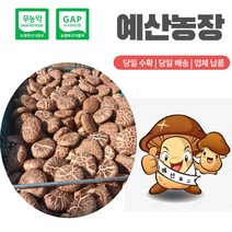 무농약인증 GAP인증 100% 산지직송 가정용 선물용-(농장직배송) 대용량표고버섯 급식용 식당용 건조용 가루용 이쁜이, 2kg
