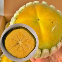 [산지직송] 고당도 아삭달콤 창원 태추단감 햇 배 단감 가정용 흠과 정품 선물용 선물세트 감 2kg 3kg 4kg 5kg, 1박스, 중과 3kg(정품 13과내외)
