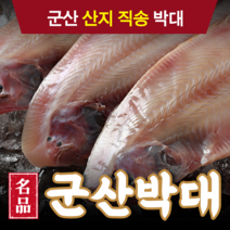 [당일출고] 군산 반건조 박대 서대 구이용 조림용 40cm내외 대/특대/왕특대 산지직송 설 추석 명절 부모님 선물세트, 4. [특대] 32-35cm 박대 10마리