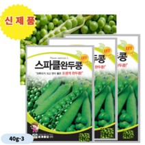 세계종묘 완두콩씨앗 40g-3봉 큰꼬투리 좋은맛 풍부한식이섬유 피로회복 위기능 노화예방에도움, 3개