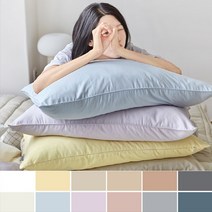 아망떼 뉴데이즈 세미마이크로 겹베개커버50x70